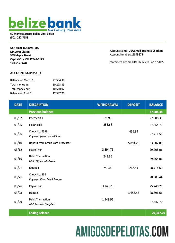 Realista USA Belize Bank Organization Extrato de conta modelo Word e PDF